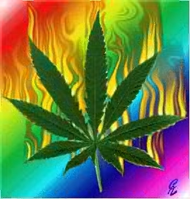 flam leaf